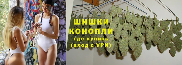 бошки Арсеньев