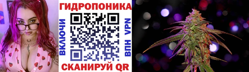 Бошки Шишки Bruce Banner  Купить  Судогда 
